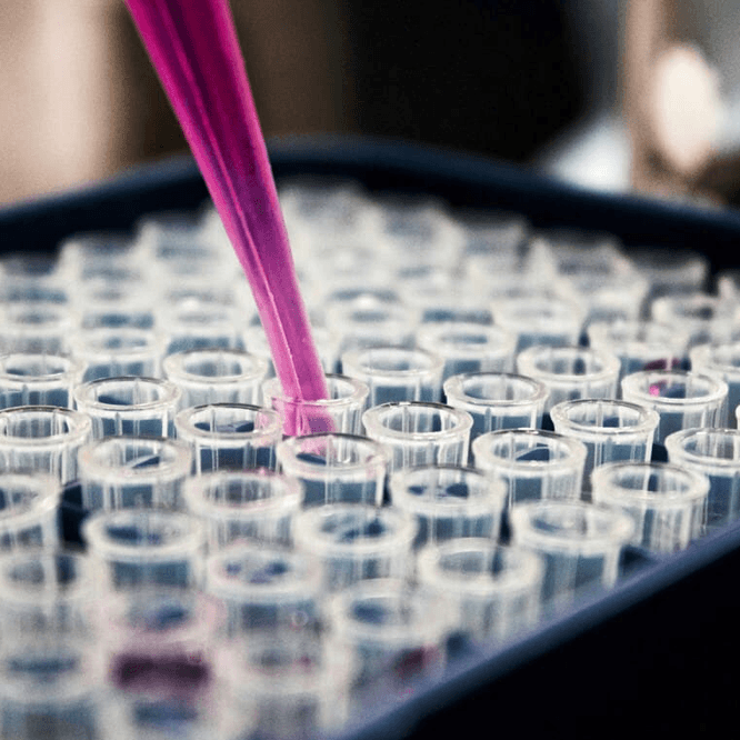 Custom Peptides